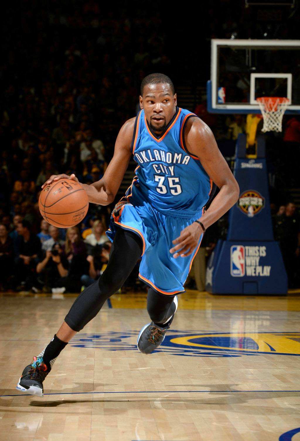 马在种种挑 马在种种挑