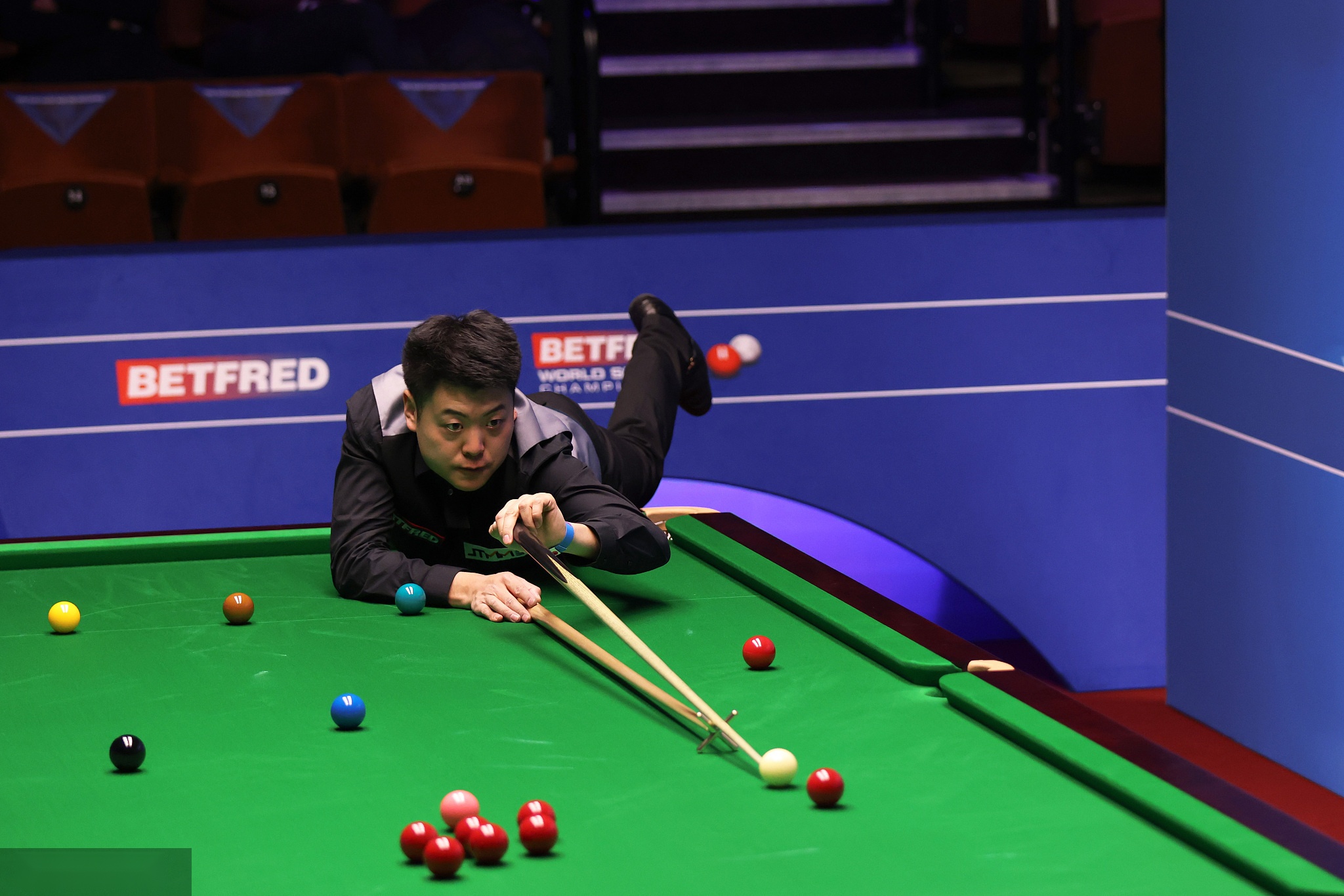 了新的活力 了新的活力