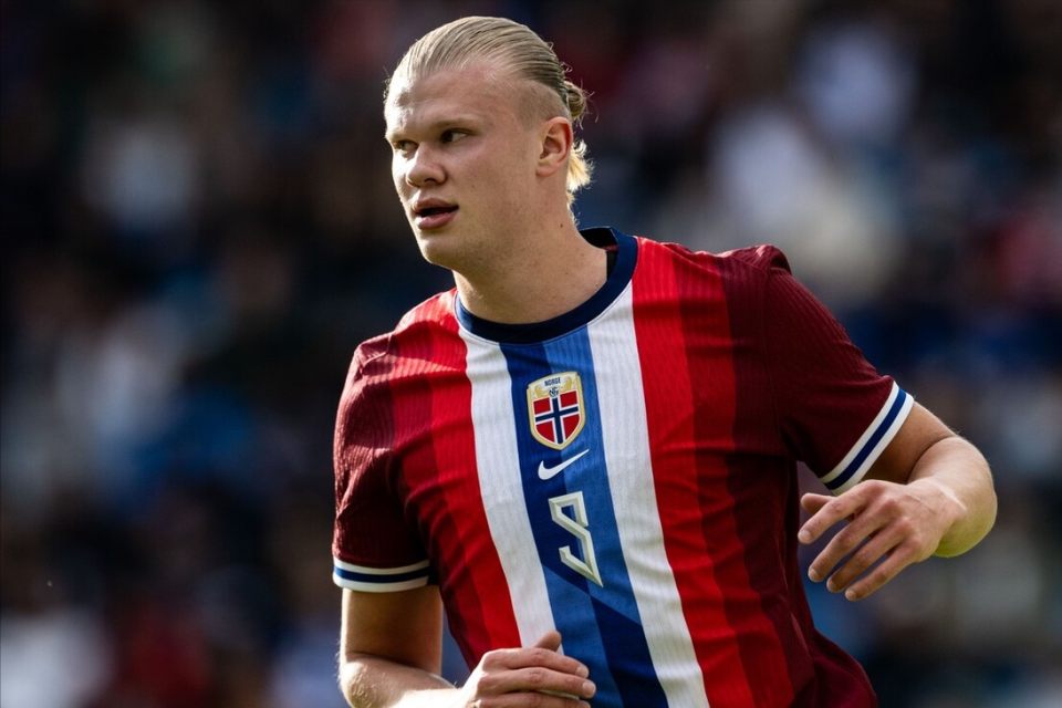 可观比例 可观比例